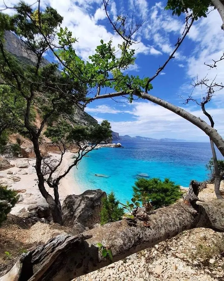 Vacanze al mare da Alessandro La Caletta Italia